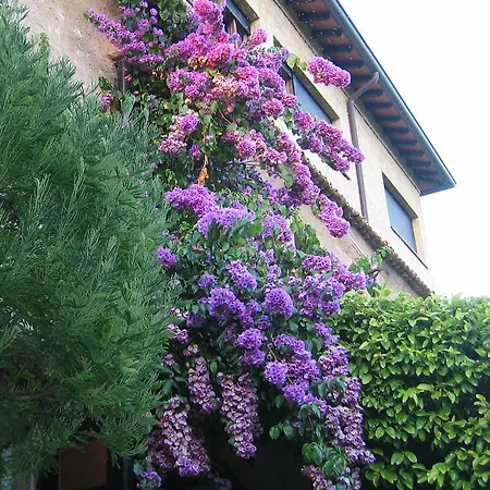 Hotell Paradiso Sirmione
